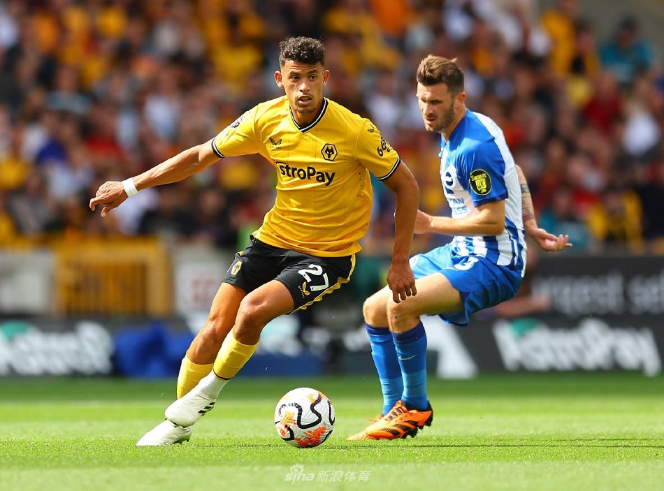 良好的基础 良好的基础